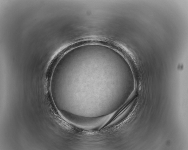 X0000096171310200801251141