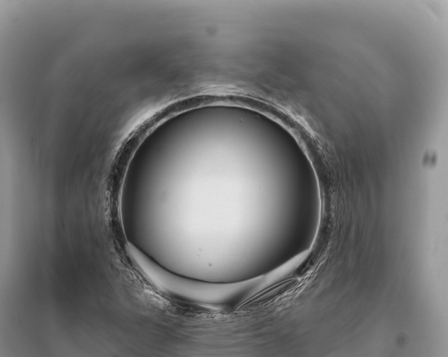 X0000096171311200801251141