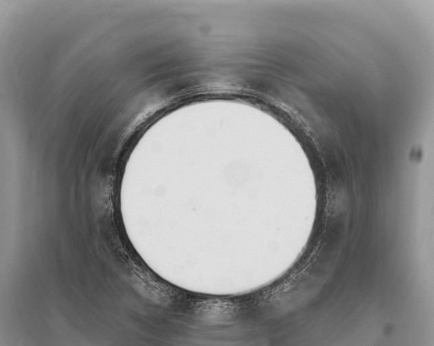 X0000096171314200801251141