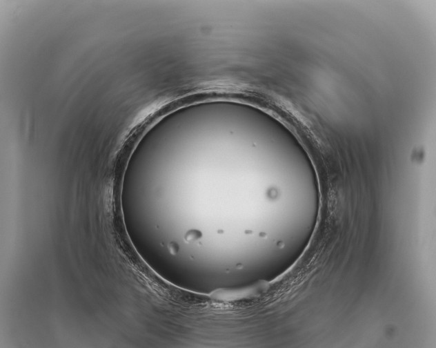 X0000096171315200801251141