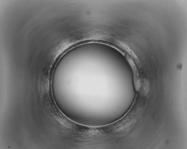 X0000096171316200801251141