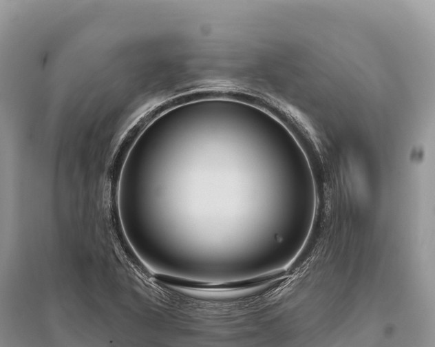 X0000096171318200801251141