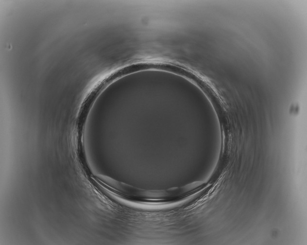 X0000096171319200801251141