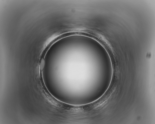 X0000096171320200801251141