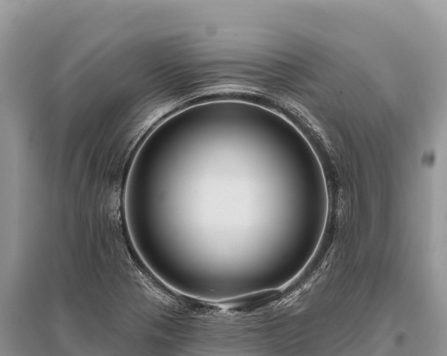 X0000096171321200801251141