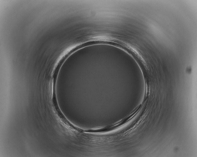 X0000096171323200801251141