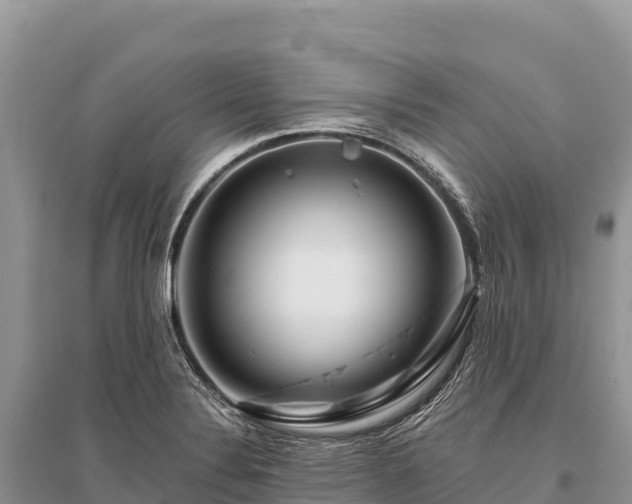 X0000096171324200801251141