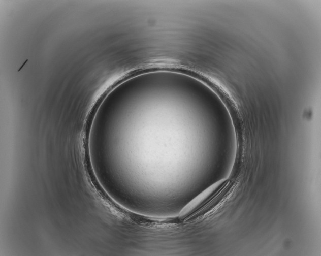 X0000096171325200801251141