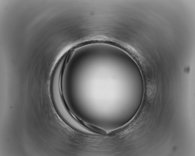 X0000096171326200801251141