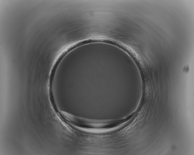 X0000096171327200801251141