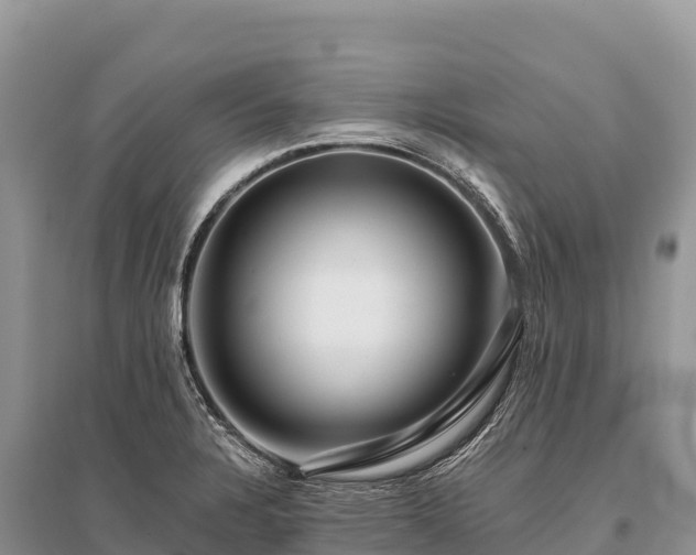 X0000096171328200801251141