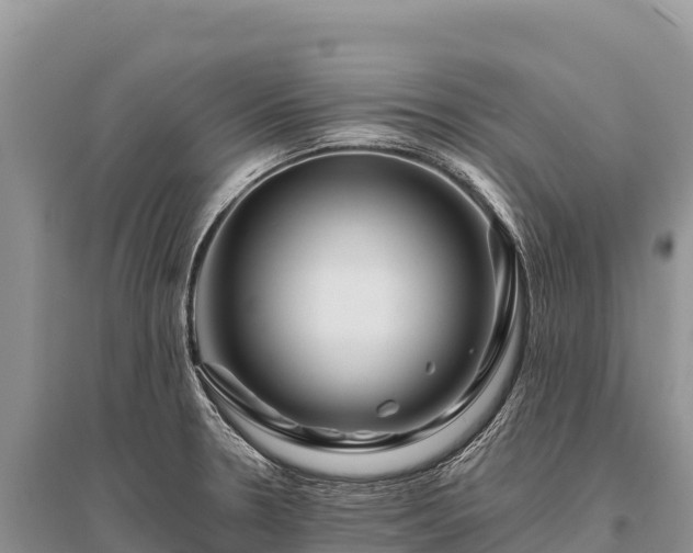 X0000096171330200801251141