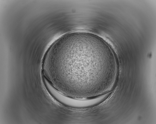X0000096171333200801251141