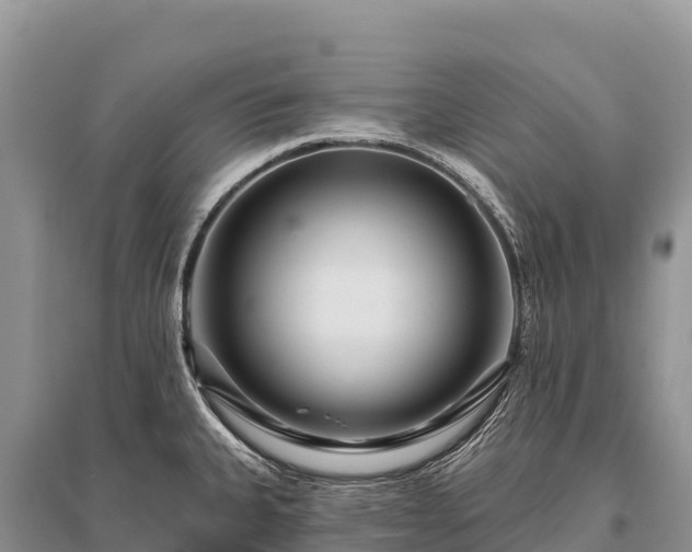 X0000096171335200801251141