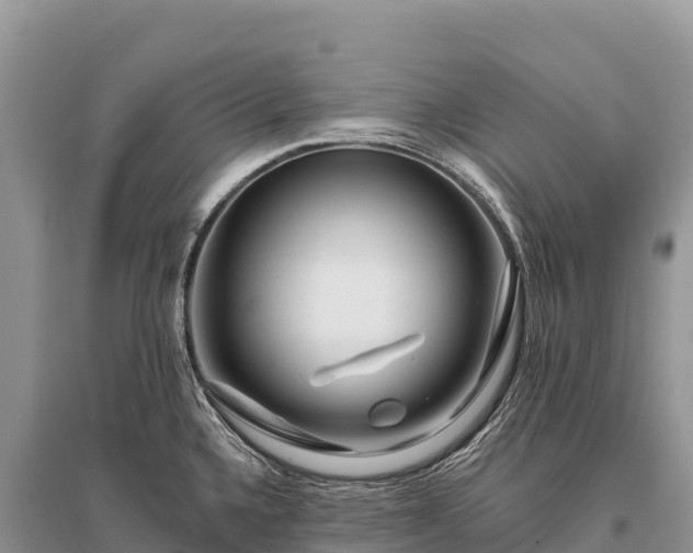 X0000096171336200801251141