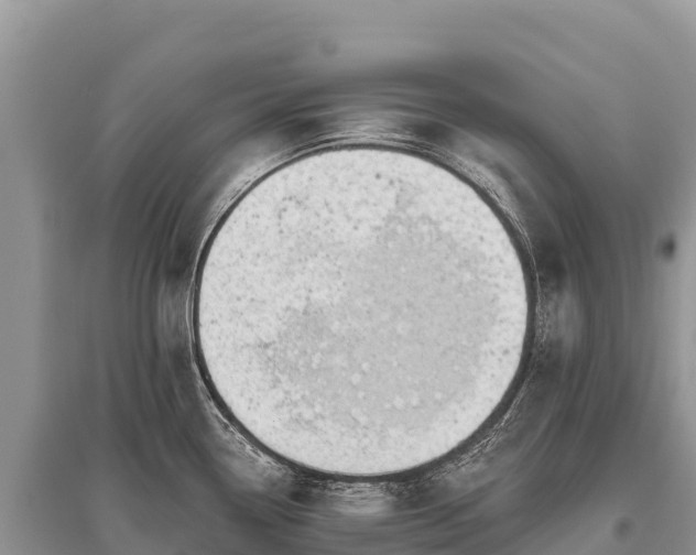 X0000096171338200801251141