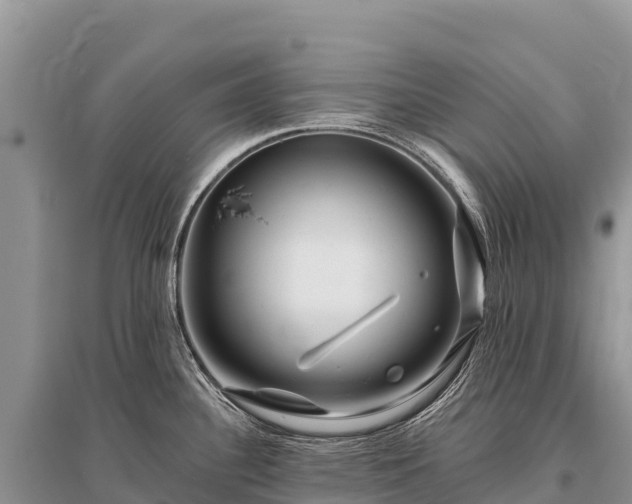 X0000096171340200801251141