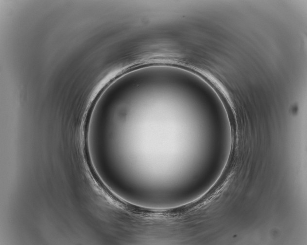X0000096171341200801251141