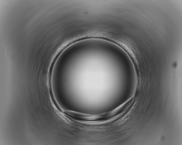 X0000096171342200801251141