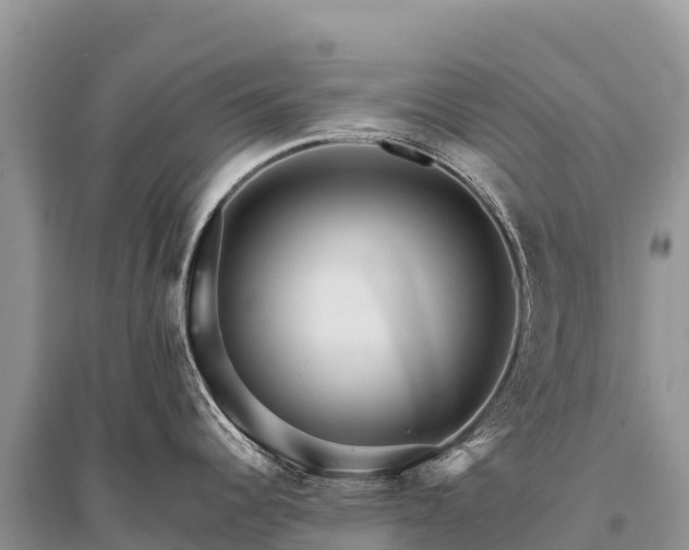 X0000096171344200801251141