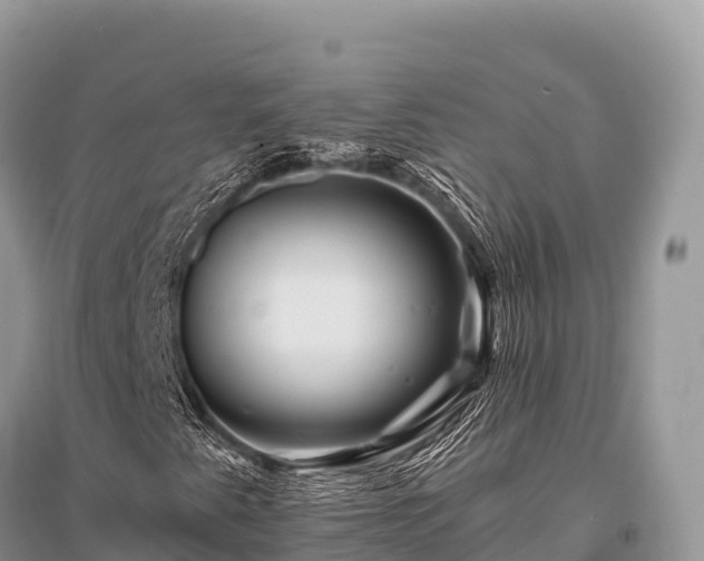 X0000096171345200801251141
