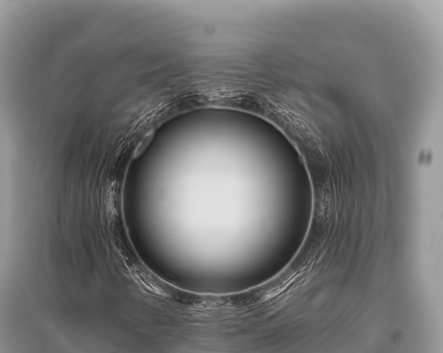 X0000096171346200801251141