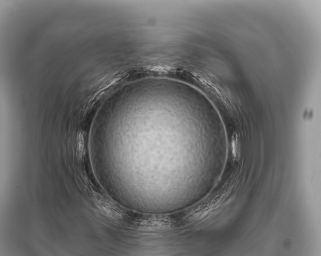 X0000096171347200801251141