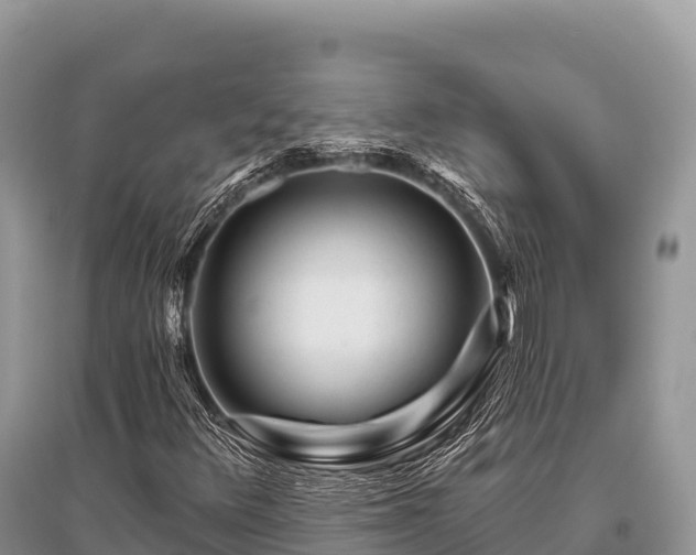 X0000096171348200801251141