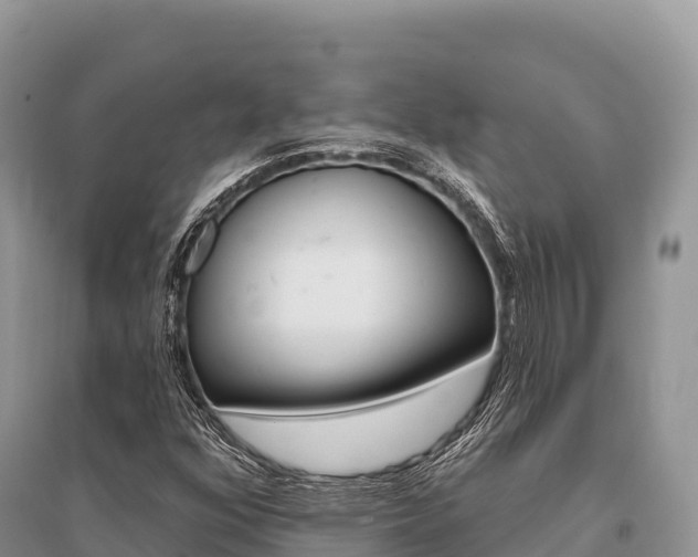X0000096171352200801251141