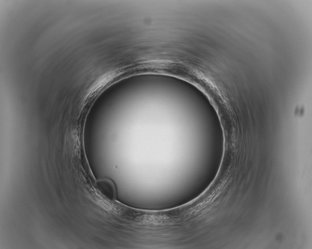 X0000096171354200801251141