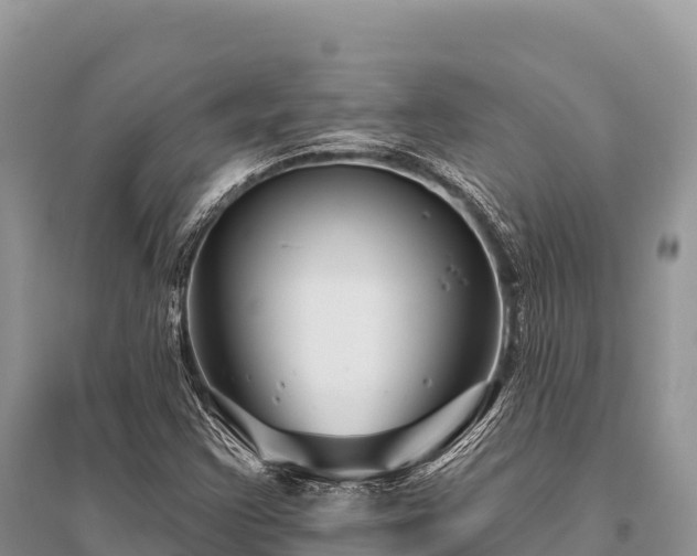 X0000096171355200801251141