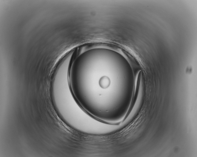 X0000096171356200801251141