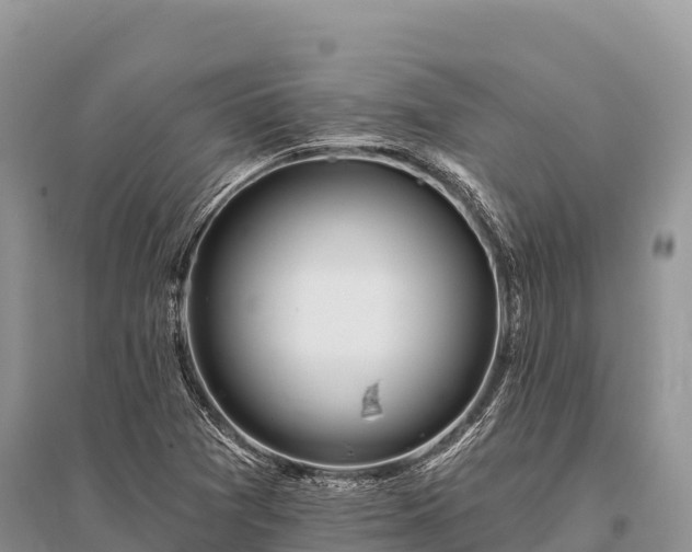 X0000096171361200801251141