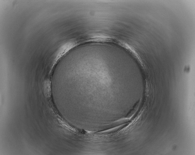 X0000096171362200801251141