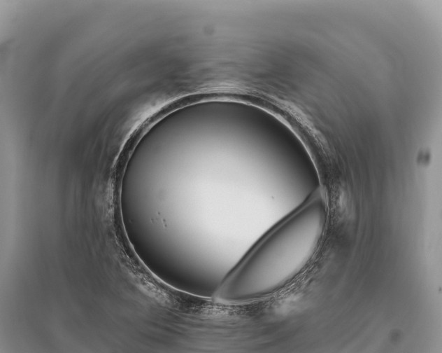 X0000096171364200801251141