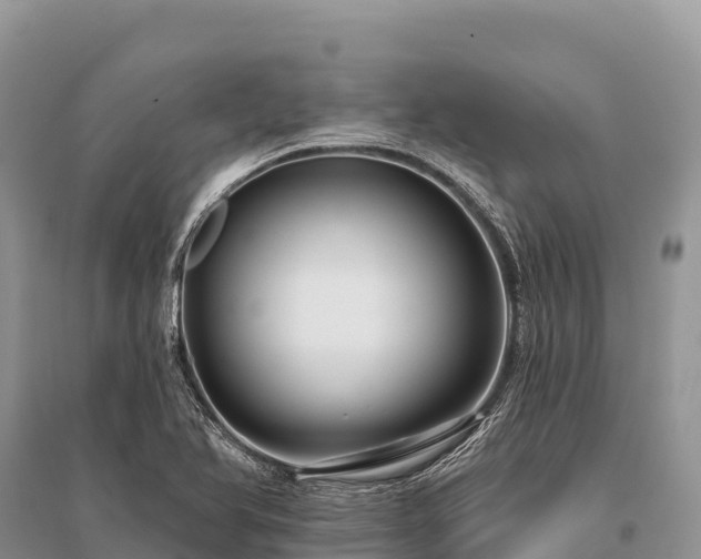 X0000096171366200801251141