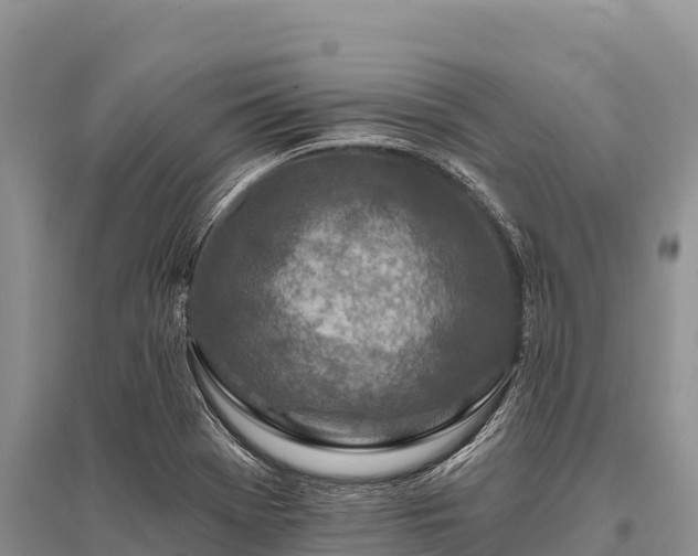 X0000096171369200801251140