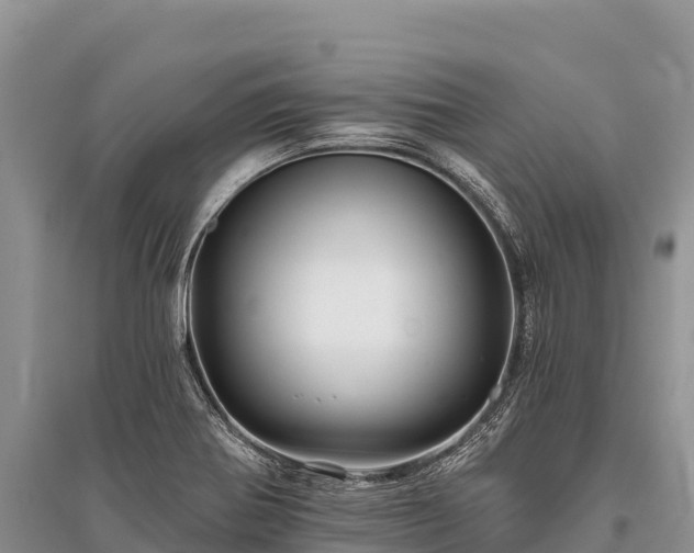 X0000096171370200801251140