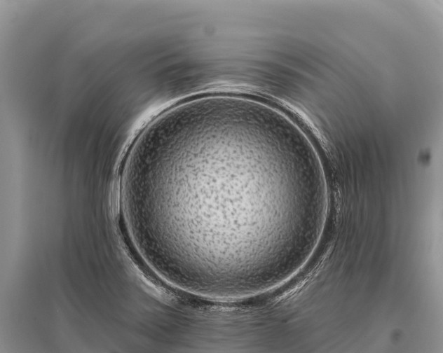 X0000096171371200801251140