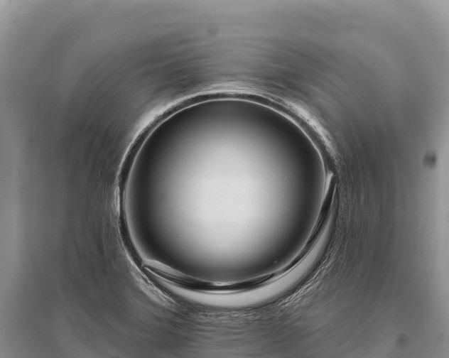 X0000096171372200801251140