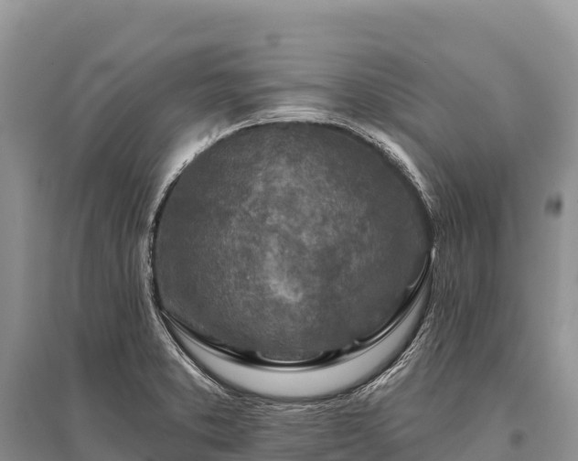 X0000096171373200801251140