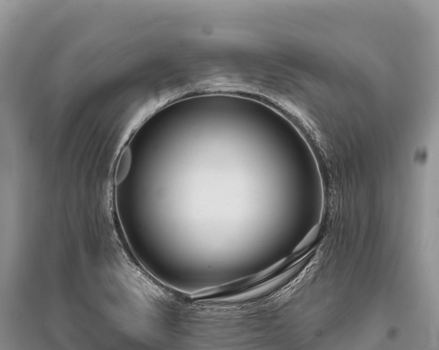 X0000096171374200801251140