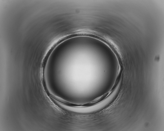 X0000096171376200801251140