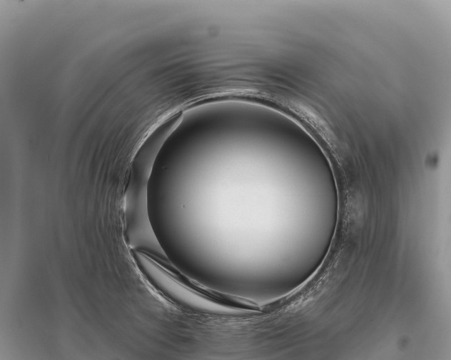 X0000096171377200801251140