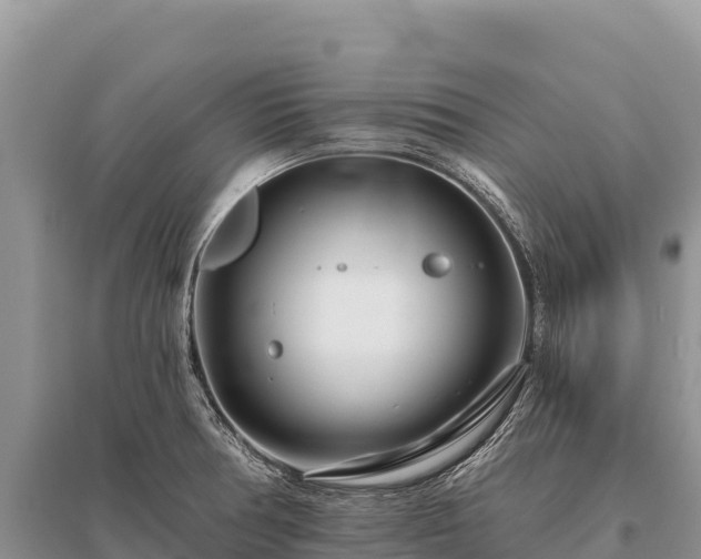 X0000096171378200801251140