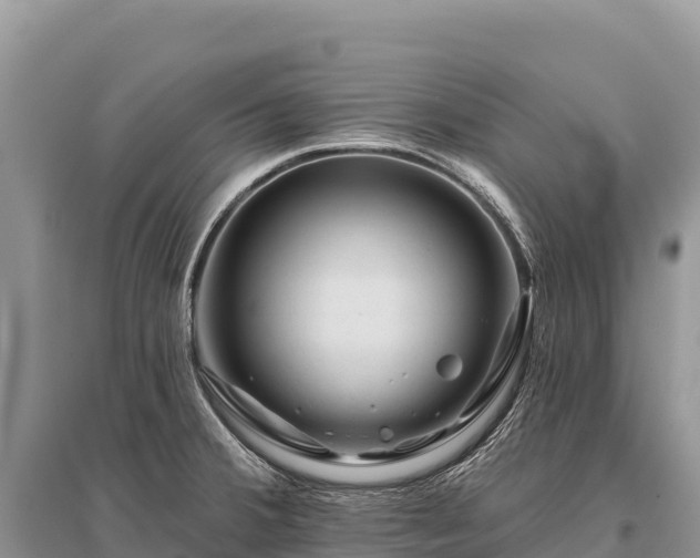X0000096171380200801251140