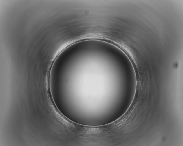 X0000096171382200801251140