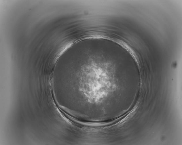 X0000096171385200801251140