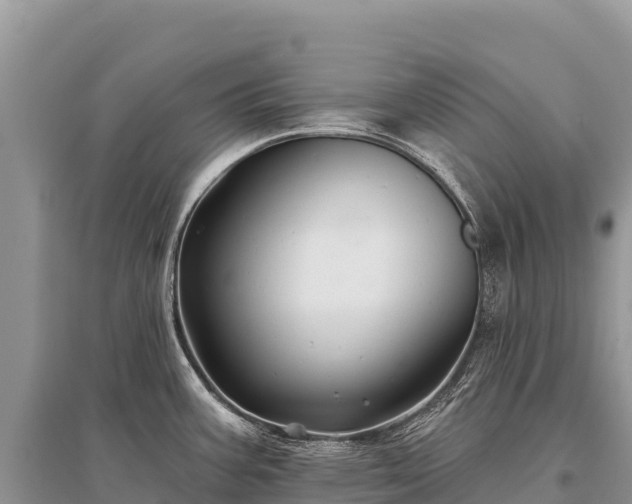 X0000096171387200801251140