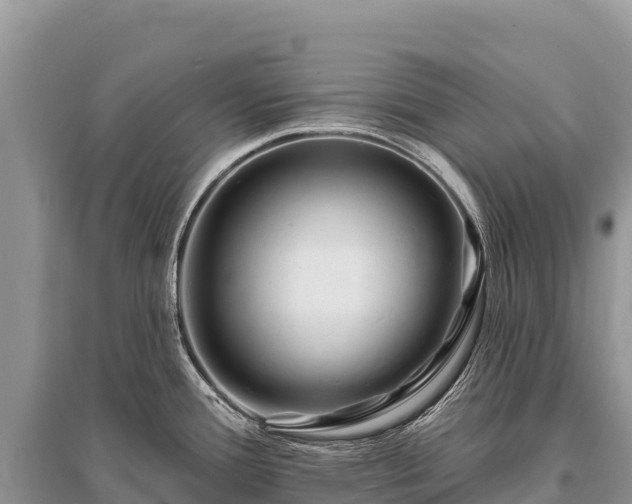 X0000096171388200801251140